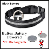 Collar LED perro talla XXL — visible de noche y día — PetLookShop