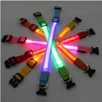 Collar LED para perros talla L — perro visible de noche — PetLookShop