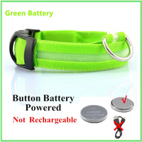 Collar luminoso perro resistente al agua — recargable USB — PetLookShop
