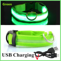 Collar LED perro impermeable — anti-pérdida nocturno — PetLookShop