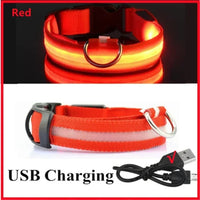 Collar LED v2 perros varios colores — pack regalo mascota — PetLookShop