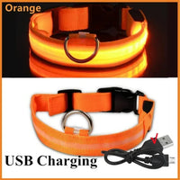 Collar LED v2 perro anti-pérdida — glow efecto nocturno — PetLookShop