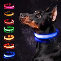 Collar LED v2 perros ajustable — tallas XS a XXL — PetLookShop