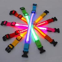 Collar LED perros talla M v2 — visible 500m oscuridad — PetLookShop