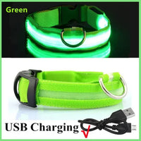 Collar LED v2 perros en uso real nocturno — PetLookShop