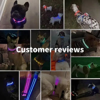 Collar LED perros talla L v2 — recarga USB magnética — PetLookShop