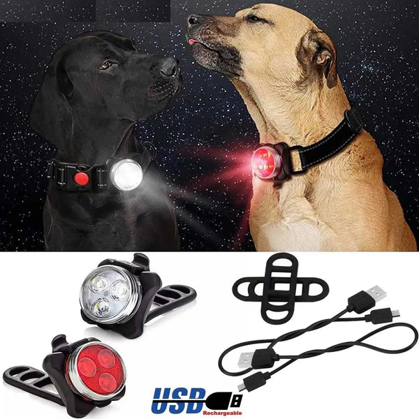 Luz LED de Seguridad para Perros — 4 Modos, Recargable USB, Impermeable | Collar y Arnés