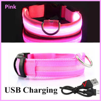 Collar LED perro modo luz continua — diseño moderno premium — PetLookShop