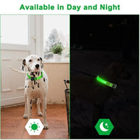 Collar luminoso perros nocturno — recarga USB rápida — PetLookShop