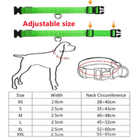 Collar LED para perros talla M — paseo nocturno seguro — PetLookShop