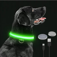 Collar LED perros ajustable tallas XS-XXL — impermeable IP67 — PetLookShop