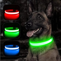 Collar LED recargable perros — 3 modos luz continua y parpadeo — PetLookShop