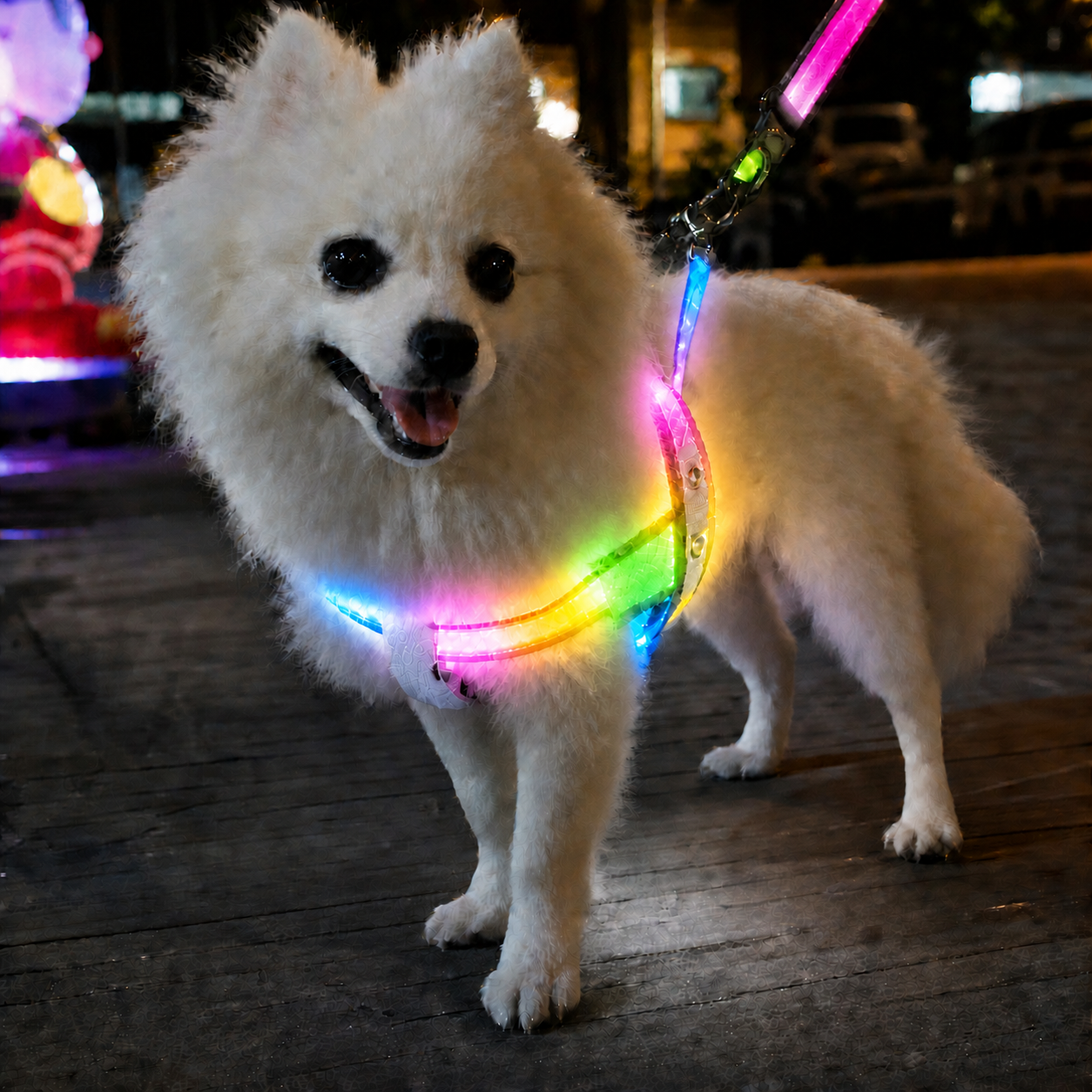 Collar LED Luminoso para Perros | Seguridad Nocturna