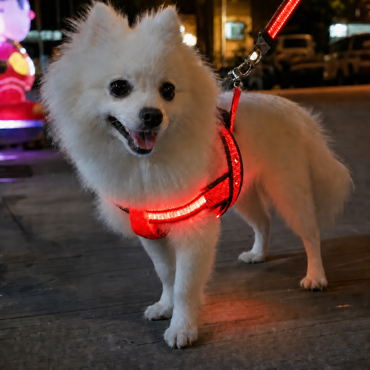 Collar LED Luminoso para Perros | Seguridad Nocturna