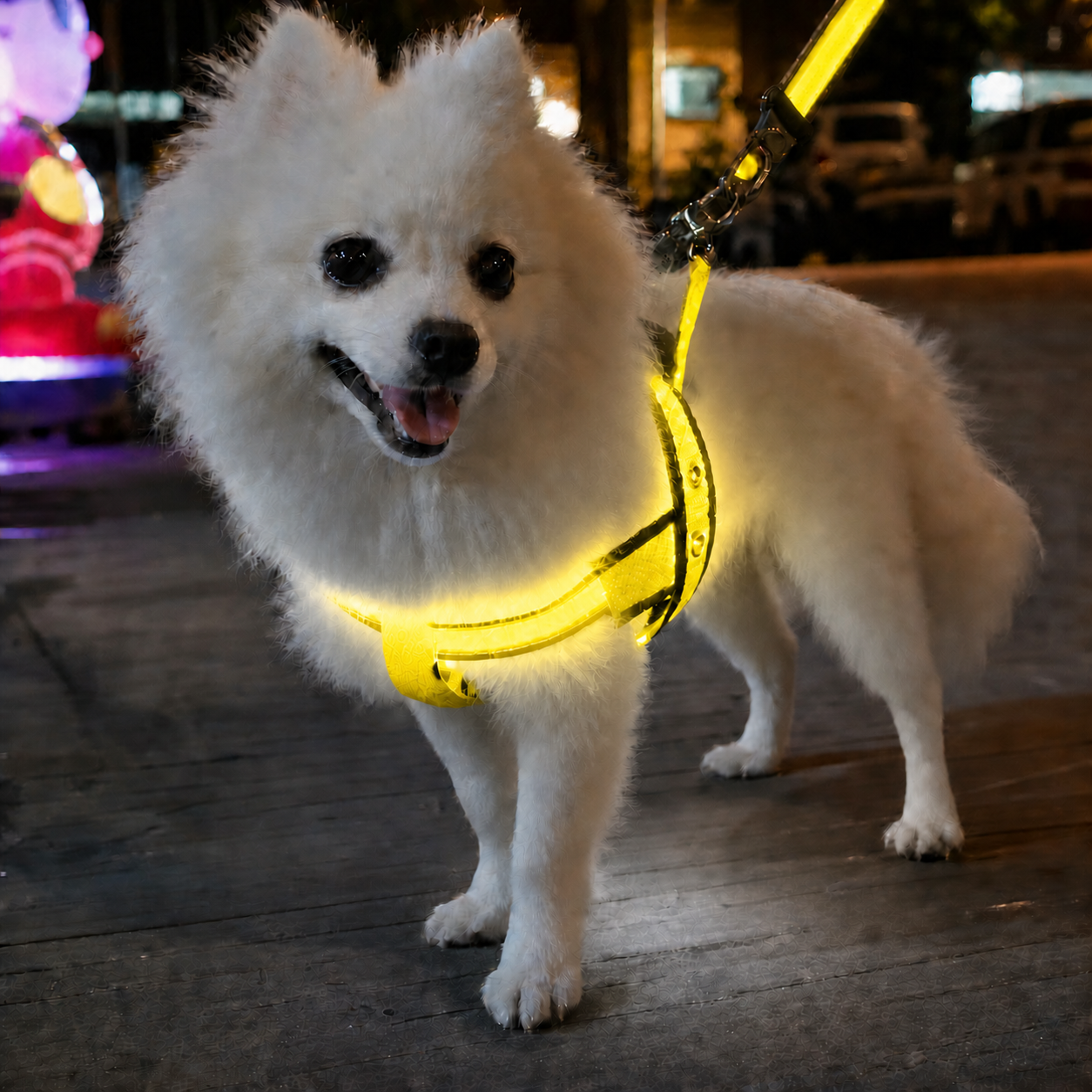 Collar LED Luminoso para Perros | Seguridad Nocturna