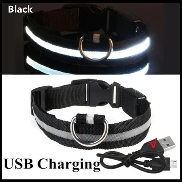 Collar LED para Perros v2